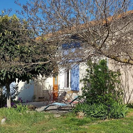 Petite Maison Refaite A Neuf Dans Mas Du 19Eme Siecle アルル エクステリア 写真