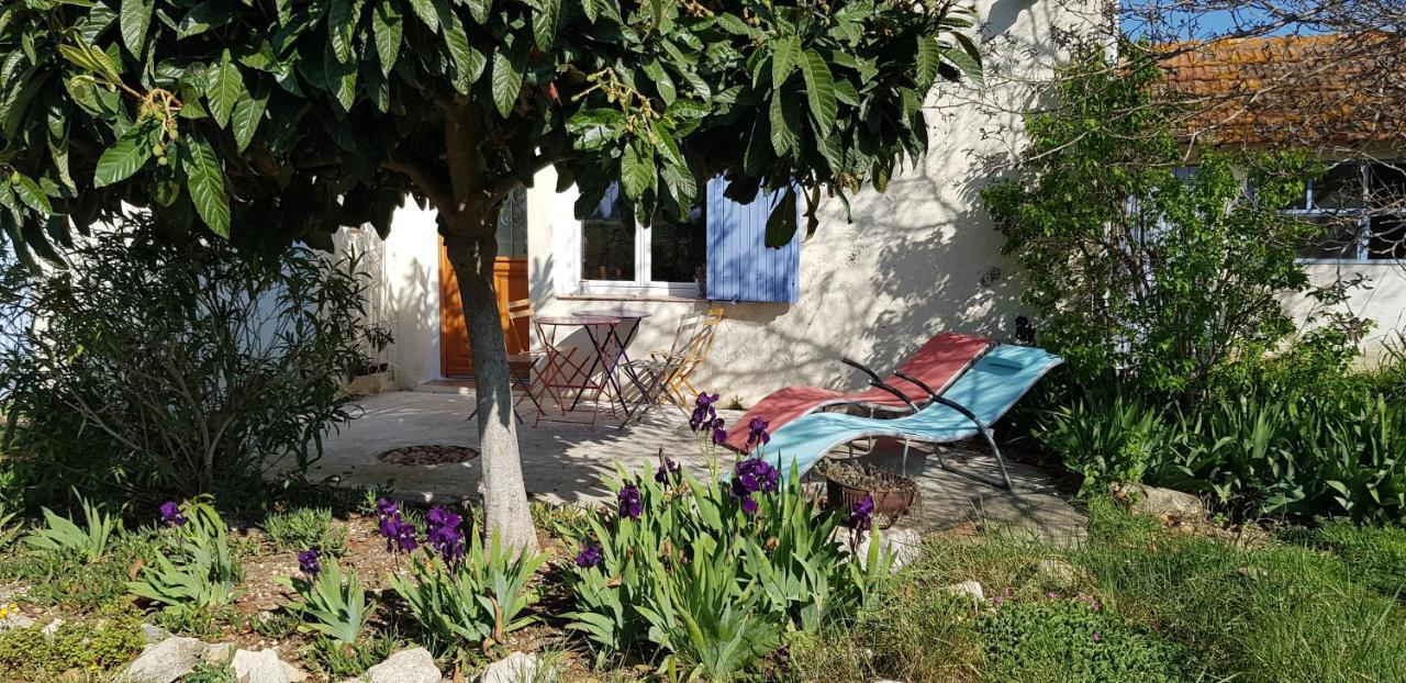 Petite Maison Refaite A Neuf Dans Mas Du 19Eme Siecle アルル エクステリア 写真