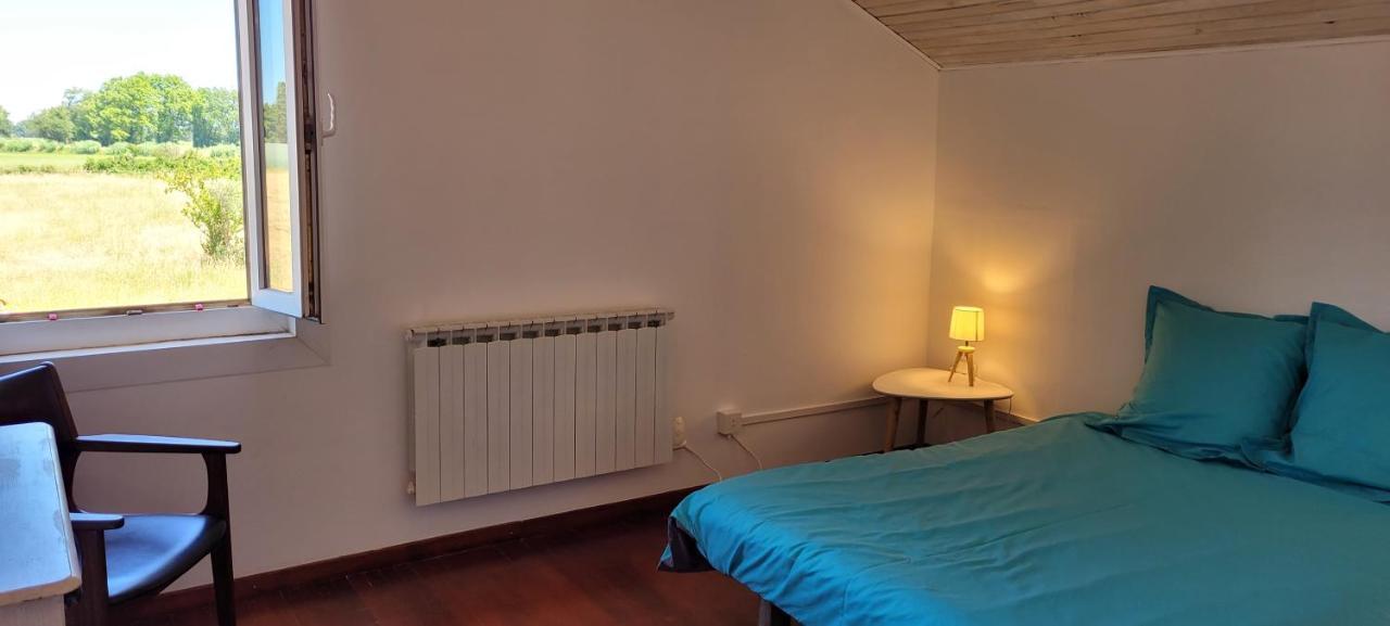 Petite Maison Refaite A Neuf Dans Mas Du 19Eme Siecle アルル エクステリア 写真