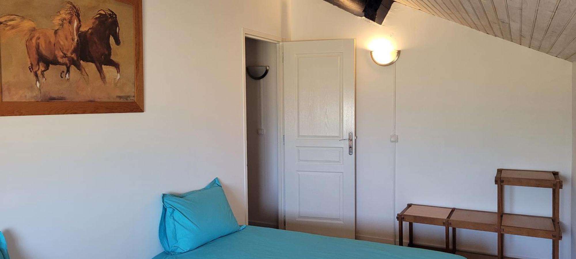 Petite Maison Refaite A Neuf Dans Mas Du 19Eme Siecle アルル 部屋 写真